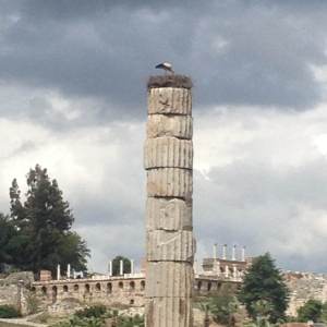 Column at Temple of Artemis
