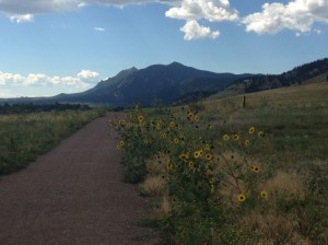 A favorite running trail in Boulder